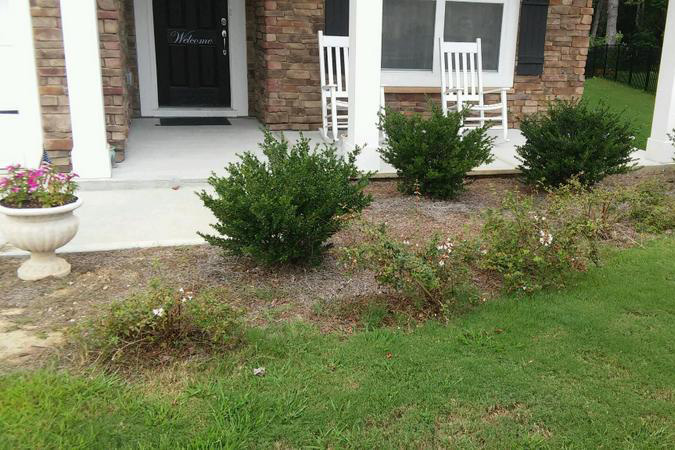 Before Landscaping 1